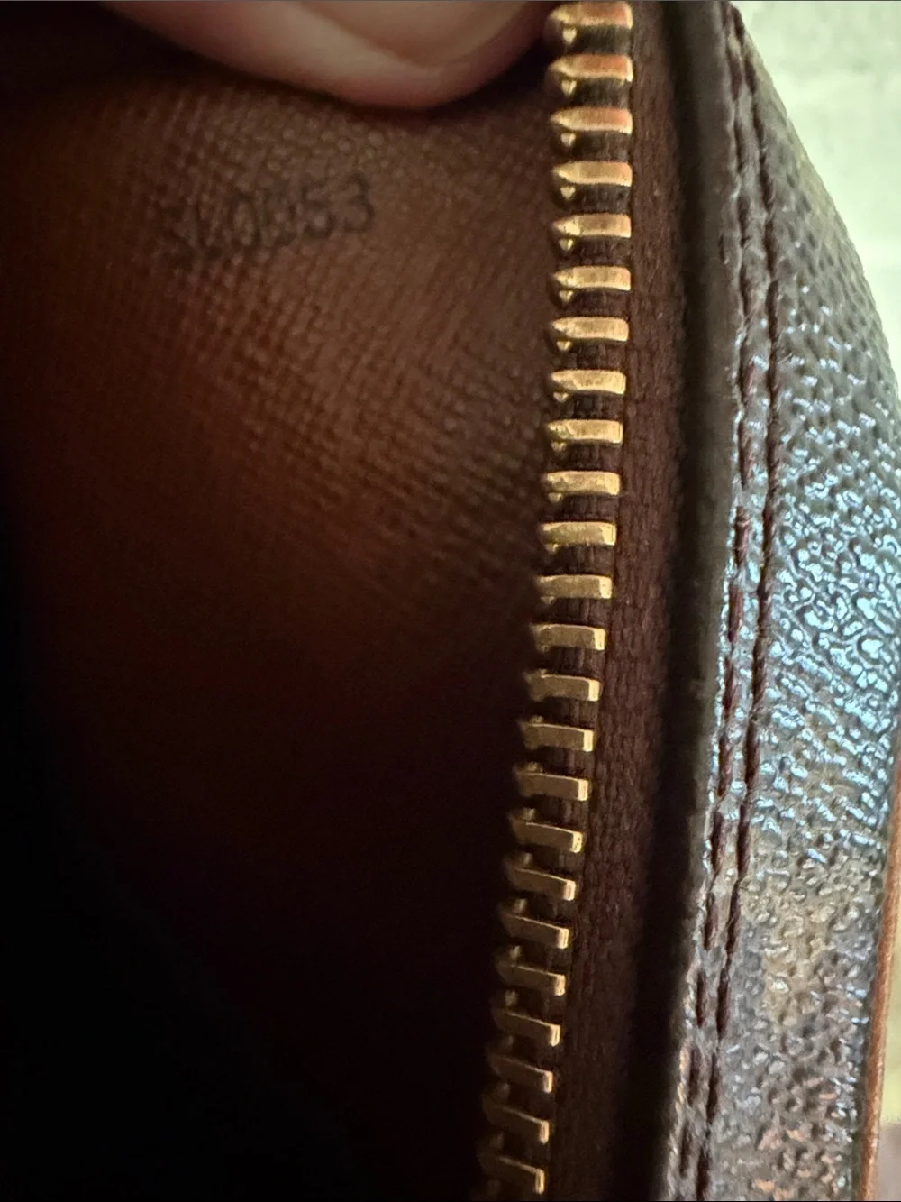 LV Monogram Danube